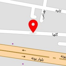قالیشویی وزیر