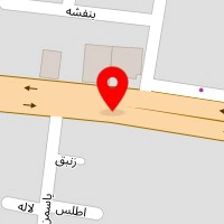 قالیشویی 20