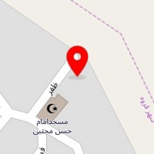 قالیشویی گل ابریشم