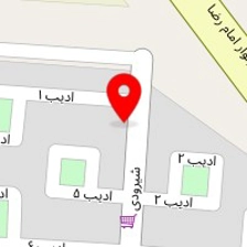 قالیشویی نوین باباییان