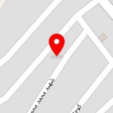قالیشویی فیروزی