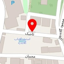 قالیشویی ناِیین اصل