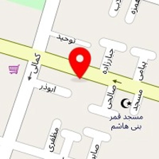قالیشویی امیر زنده دل