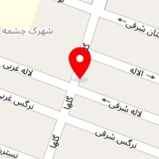 قالیشویى میثاق