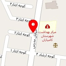 وکیل پیمان پیکار
