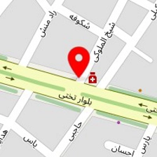وکیل محمد عزیزپور