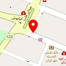 وکیل سالار عنصری فرد