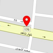دکتر مهدی گلرخ امین