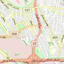 دکتر سعید محمد بیگی
