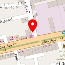 دکتر جلیل میر حسینی نیا