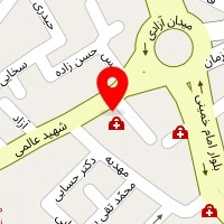 دکتر فرزاد پیله وری