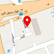دکتر زینب حمزه پور