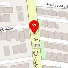 دکتر حمید تقی زاده
