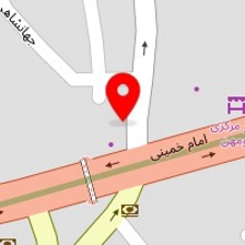 دکتر یاسمن رضایی