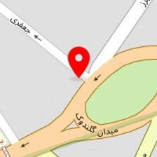 دکتر محمد دانش نژاد