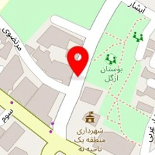 دکتر امیرعلی شیوایی