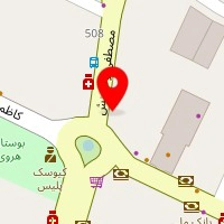 دکتر شمس الدین طباطبائی