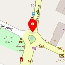 دکتر شیده مقدادی