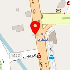 دکتر میترا عبدلی
