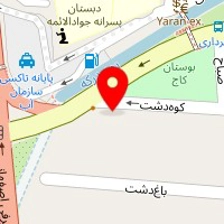 دکتر فرزین مازیار