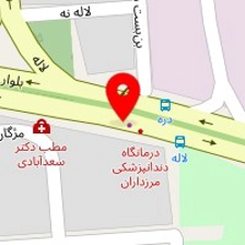 دکتر مهکامه چگینی