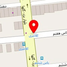 دکتر احمد شیبانی نیا