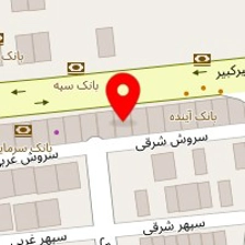  دکتر نیلوفر نوروزی