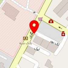 دکتر مهدی هاشمی