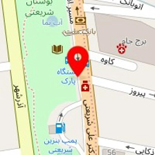 دکتر فرشید شمس