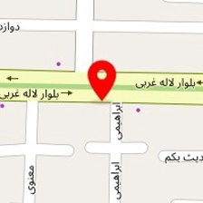 دکتر مهدی مرادی