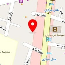 دکتر منا منصوری