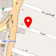 دکتر شیرین علیان 