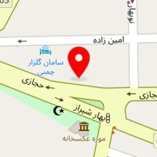 دکتر حوریه حسنی