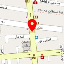دکتر هانیه نائلی