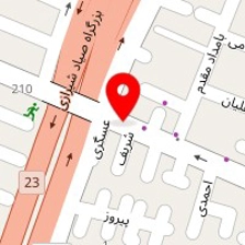 دکتر پروانه عبدالهی نیا