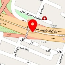 دکتر علیرضا شکوهی نژاد
