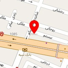 دکتر آیدا سامانی