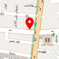 دکتر شاهین علیزادگان
