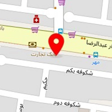 دکتر میرکیان روشن نیا