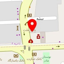 دکتر حمیدرضا سامعی