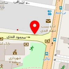 دکتر شادی نوروزعلی