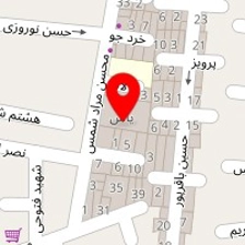 دکتر علی موسوی