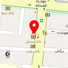 دکتر محمد تقی شاهسوارانی
