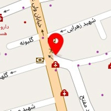 آموزشگاه تخصصی گلچین