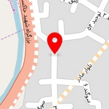 تتو حرفه ای بدن فقط بانوان