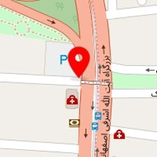 دکتر شایان شاهدی
