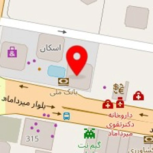 دکتر میرمسعود سعیدی حسینی