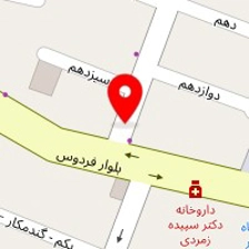 دکتر مریم السادات هاشمی