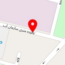 دکتر شکیبا امیرجانی