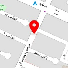 موسسه زبان ماه نشان